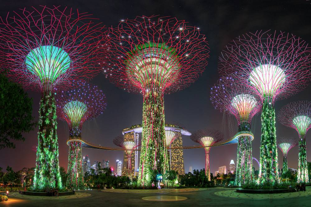 SUPERTREE GROVE in Gardens by the Bay